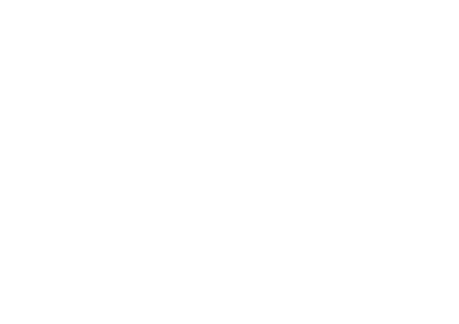 IQ logo